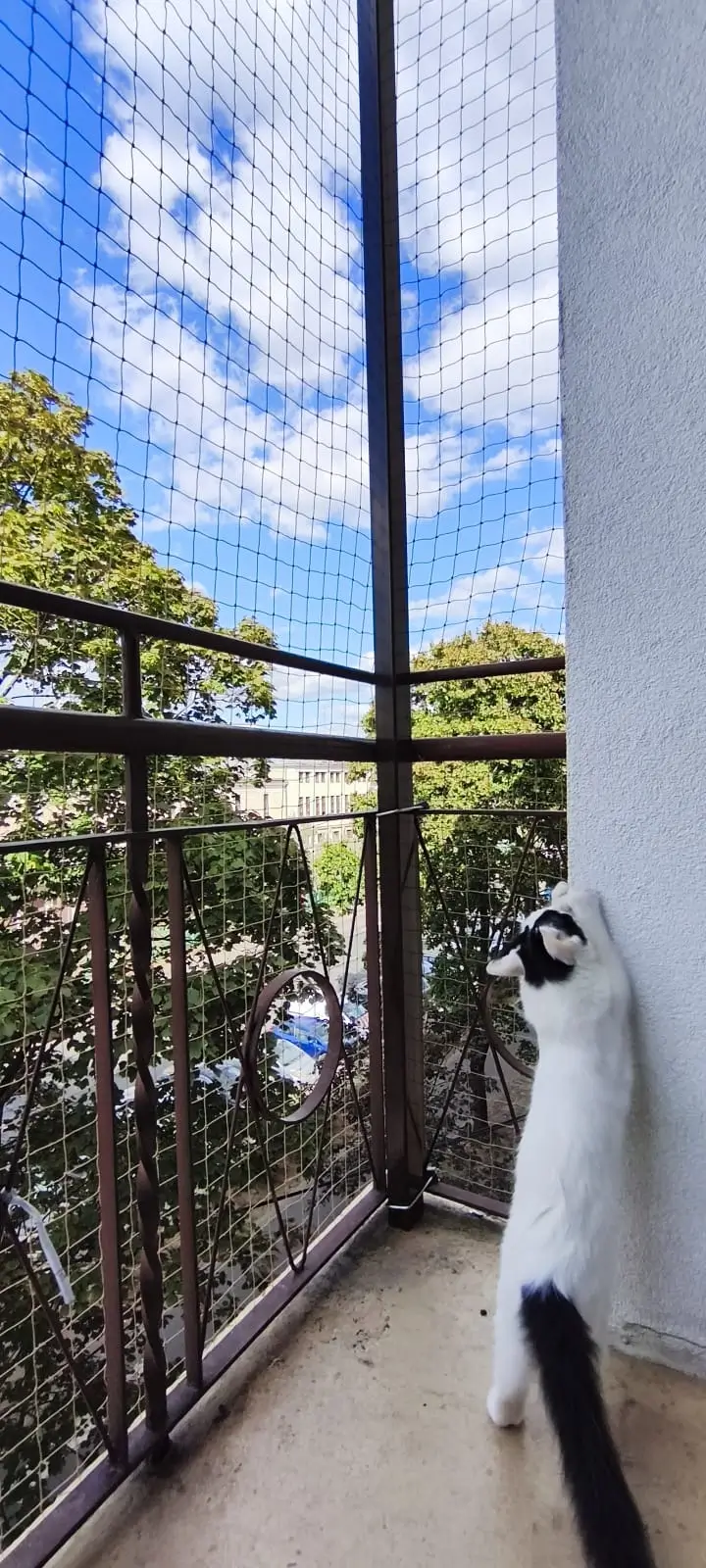 Realizacja siatki na balkonie